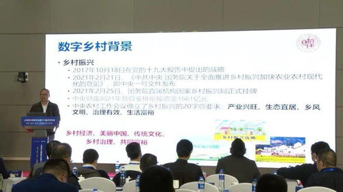 百余名计算机科技工作者齐聚崇明 共话软件研发新未来