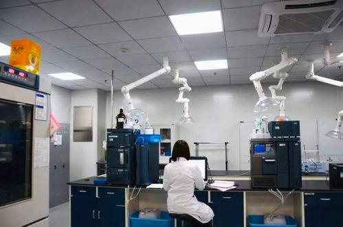 延长帕金森病药物治疗蜜月期 创新药企推进抗帕新药与计算机软件的研发